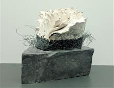 Claire Beillard